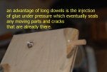 D20_5328 RF.jpg